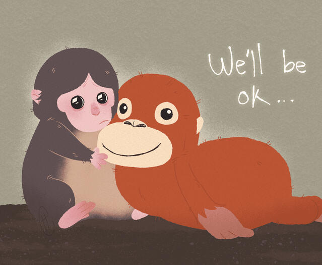 We'll be ok
